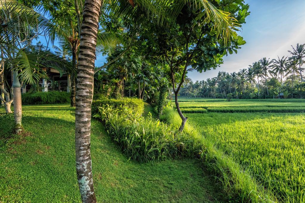 Villa Sabandari Ubud Buitenkant foto